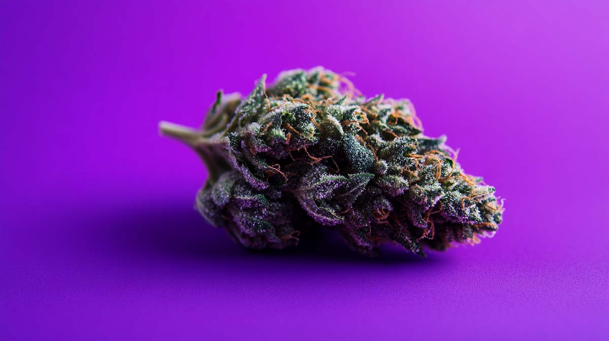 Sour Mango