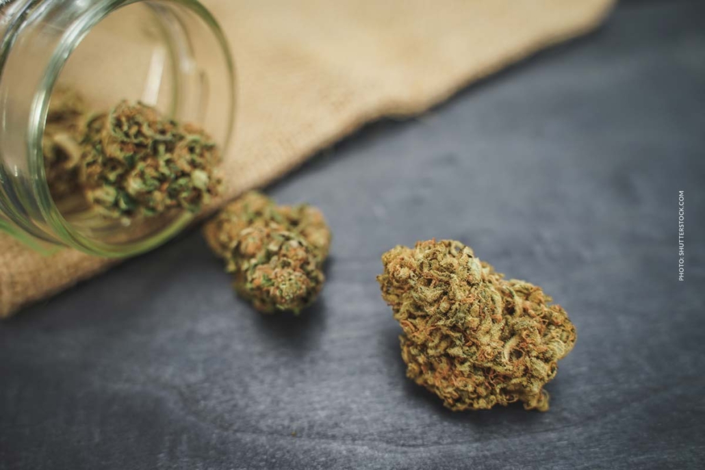 cannabis-sorte-blute-bud-blute-tisch-shop-thc-aroma-glas-steinplatte