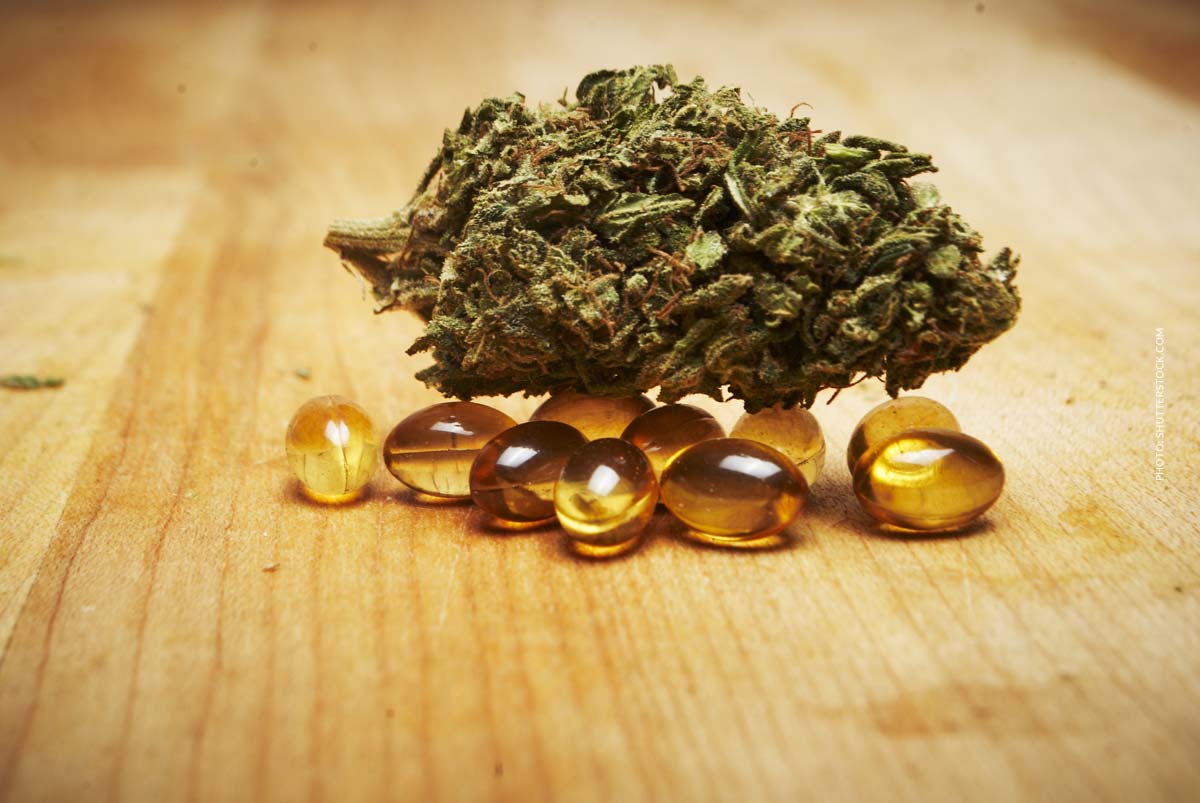 cannabis-kapseln-konzentriert-thc-vergleich-bluete-tisch