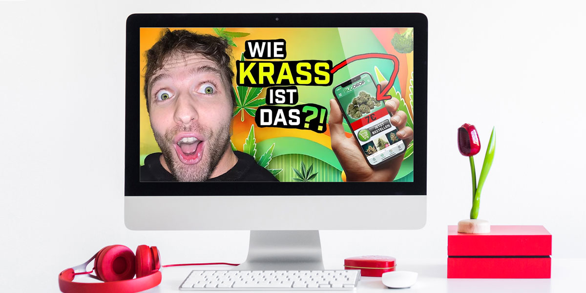 cannazen-youtube-erfahrung-open-mind-creator-bestellung-lieferung