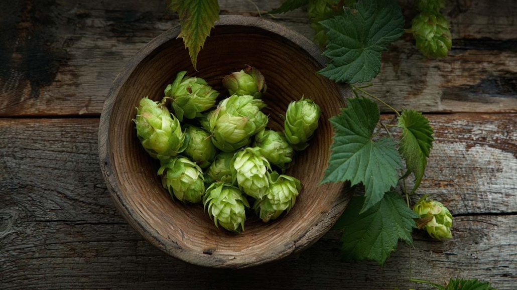 humulen-hopfen-wurzig-erdig-herb-terpen-aroma-geschmack-wirkung-effekt-cannabis-weed-hanf-marihuana-sorte